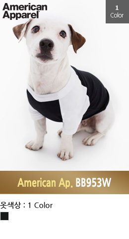[ üƼ] Ƹ޸ĭ䷲  ׶ Ƽ BB953W ( American Apparel 125g) 