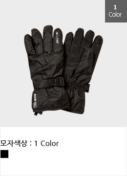 스키 장갑