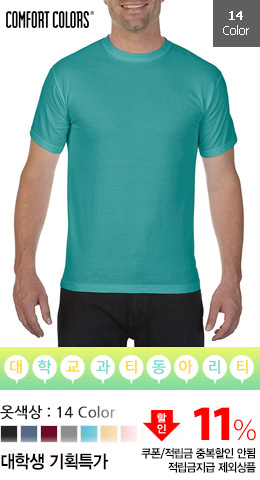  Ƽ [Ʈ ÷]  Ƽ 1717 (COMFORT COLORS 210g) USA FIT